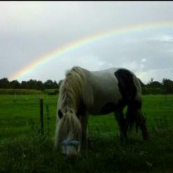 stalling en weidegang