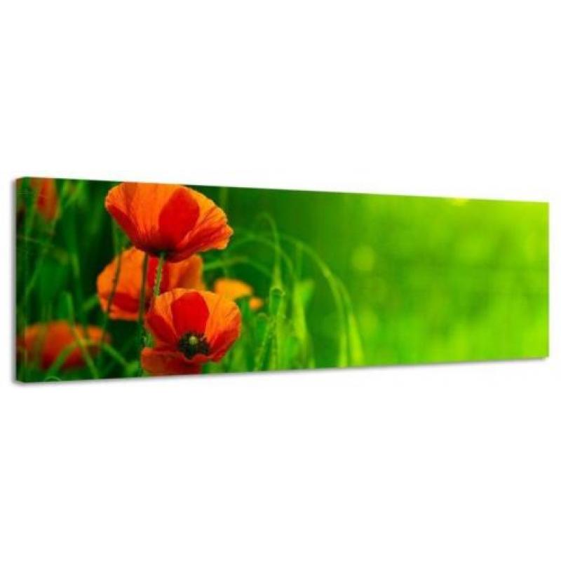 Diverse Canvas Panorama's - slechts EUR 49!