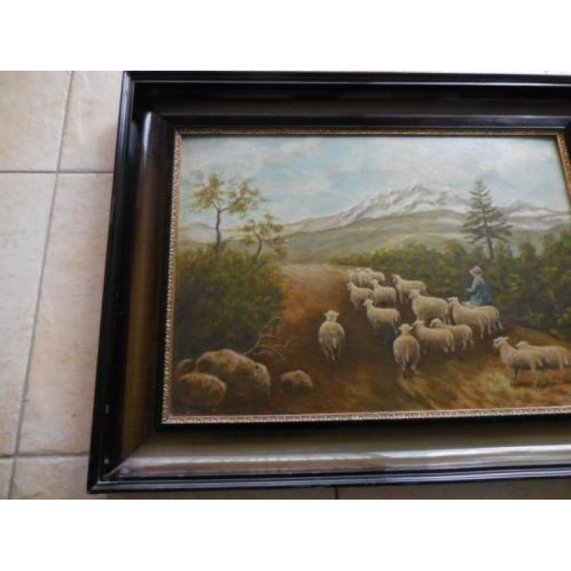 Groot schilderij van herder met schapen en bergen