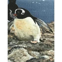 Pinguïn vogels schilderij 40x30 cm