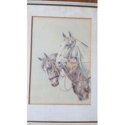 Prachtige orig. tekening 2 paarden W. de Ruiter 1951