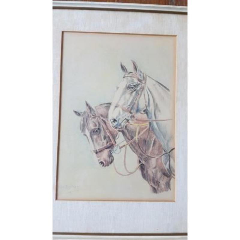 Prachtige orig. tekening 2 paarden W. de Ruiter 1951