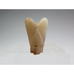 Egyptian crystal fly amulet