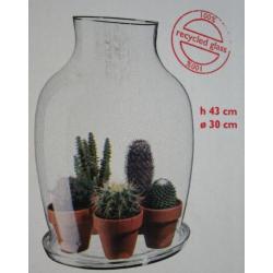 Greenhouse (glazen fles met glazen schotel 43 cm. hoog)